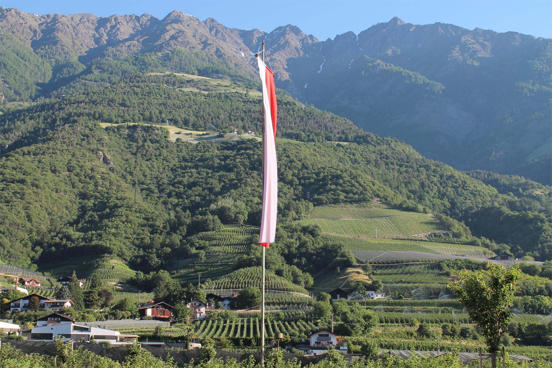 Garni Wiesenhof Naturns 10 suedtirol.info