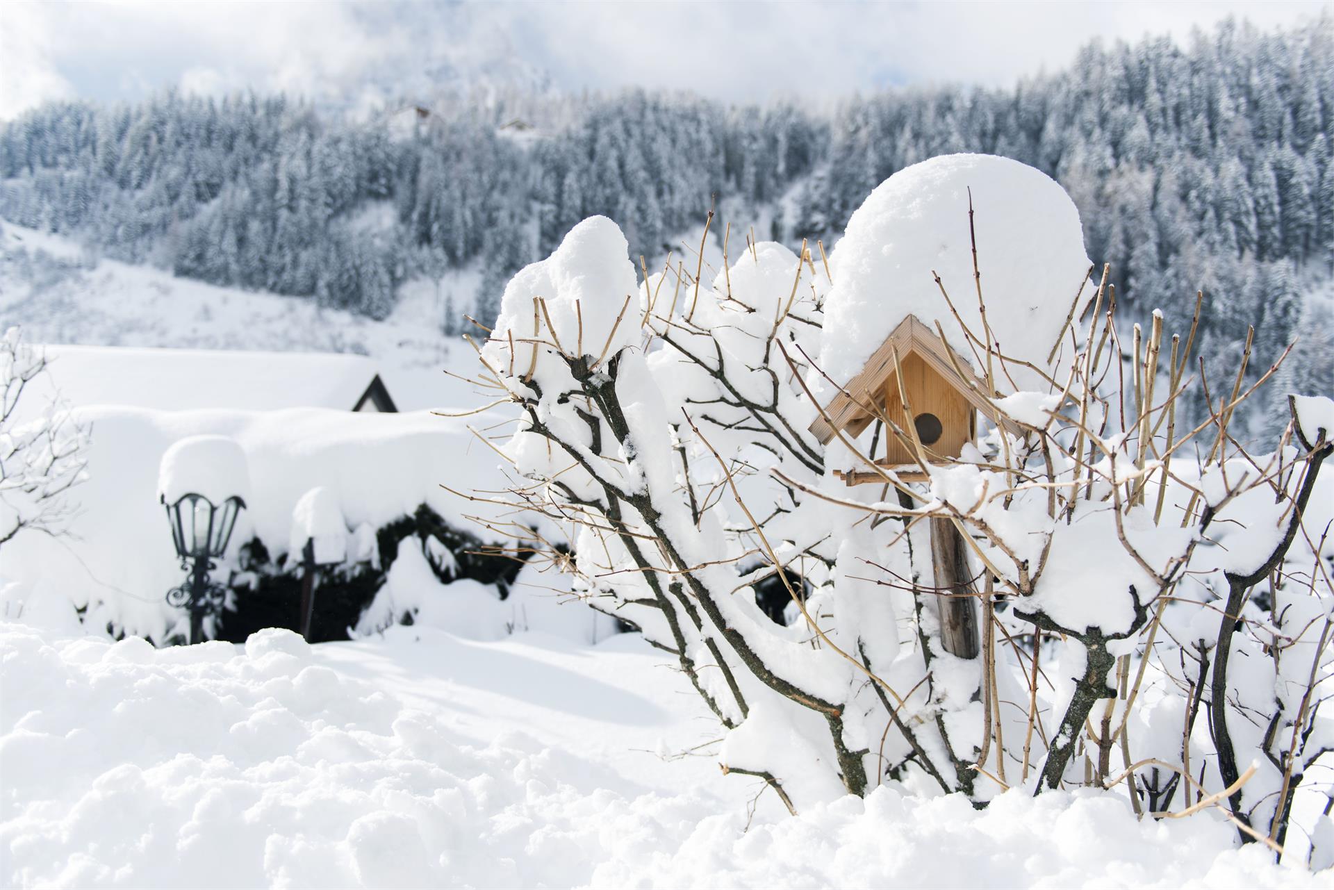 Garni - B&B - Hotel Geier Santa Cristina Val Gardena 24 suedtirol.info