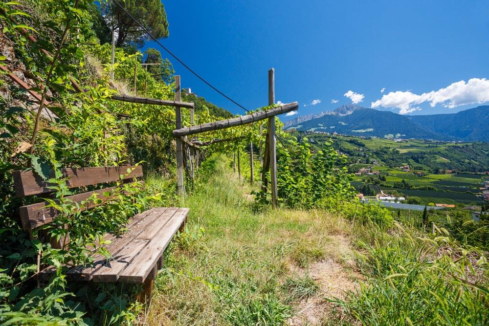 Garni Weigelehof Algund/Lagundo 14 suedtirol.info