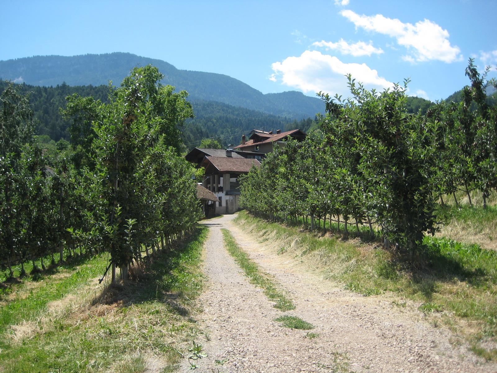 Garberhof Tisens/Tesimo 3 suedtirol.info