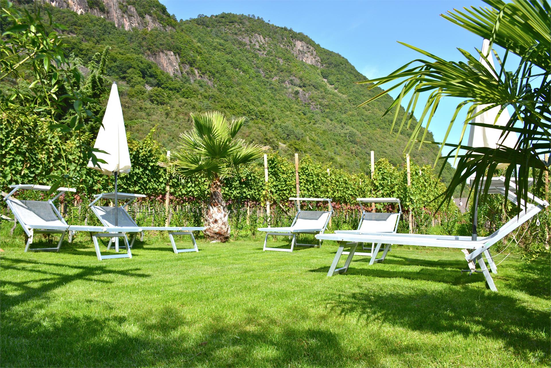 Gutshof Sinn Kaltern an der Weinstraße/Caldaro sulla Strada del Vino 13 suedtirol.info