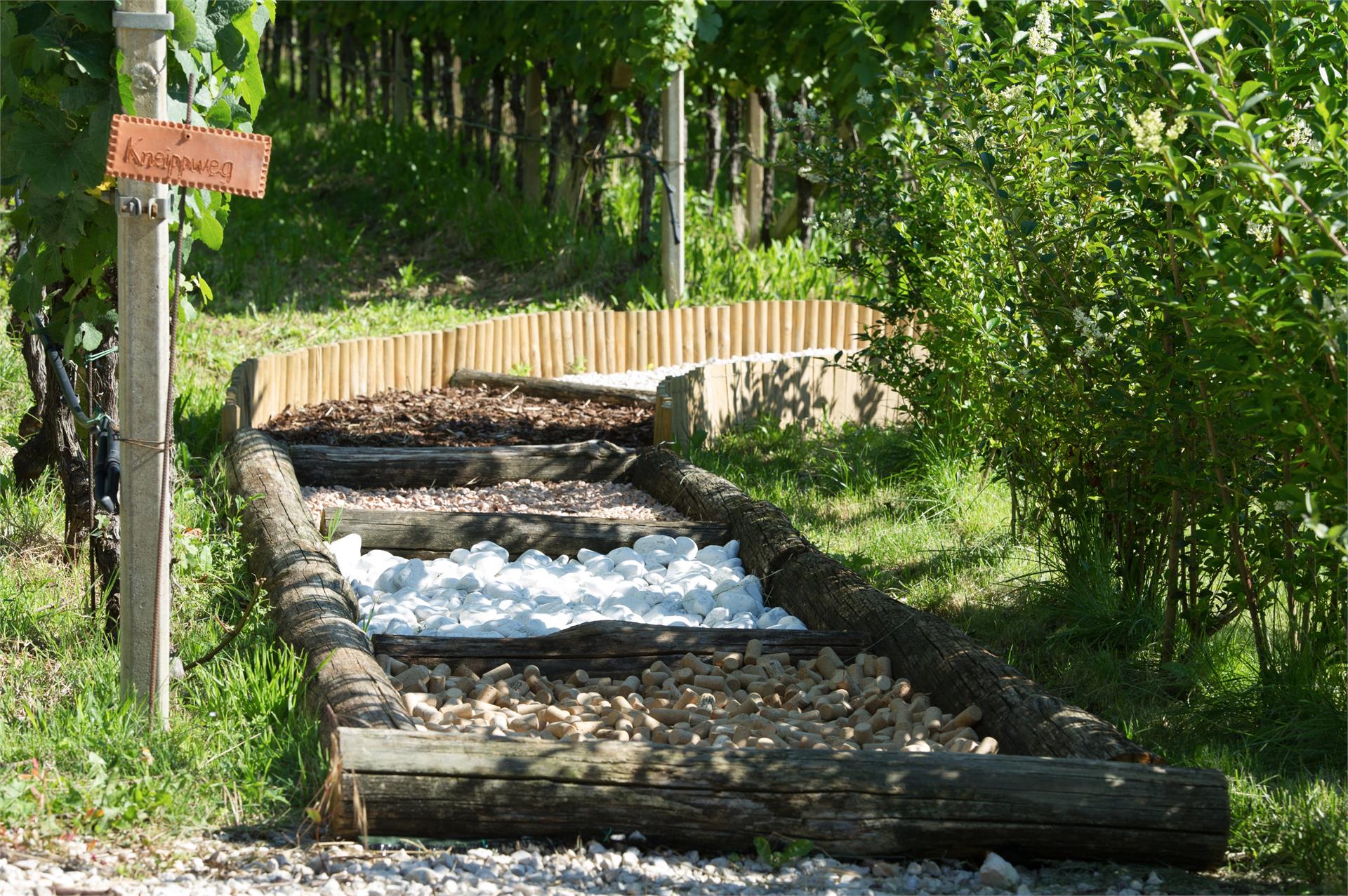 Gutshof Sinn Kaltern an der Weinstraße/Caldaro sulla Strada del Vino 19 suedtirol.info