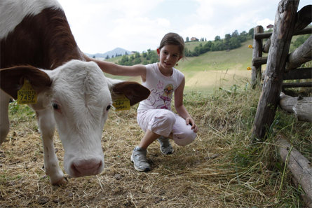 Garni Iosc San Vigilio 17 suedtirol.info