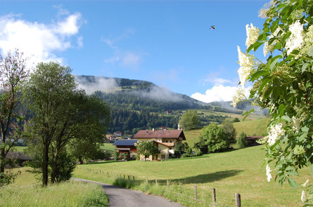 Ganoihof-Bio Villnöss 5 suedtirol.info