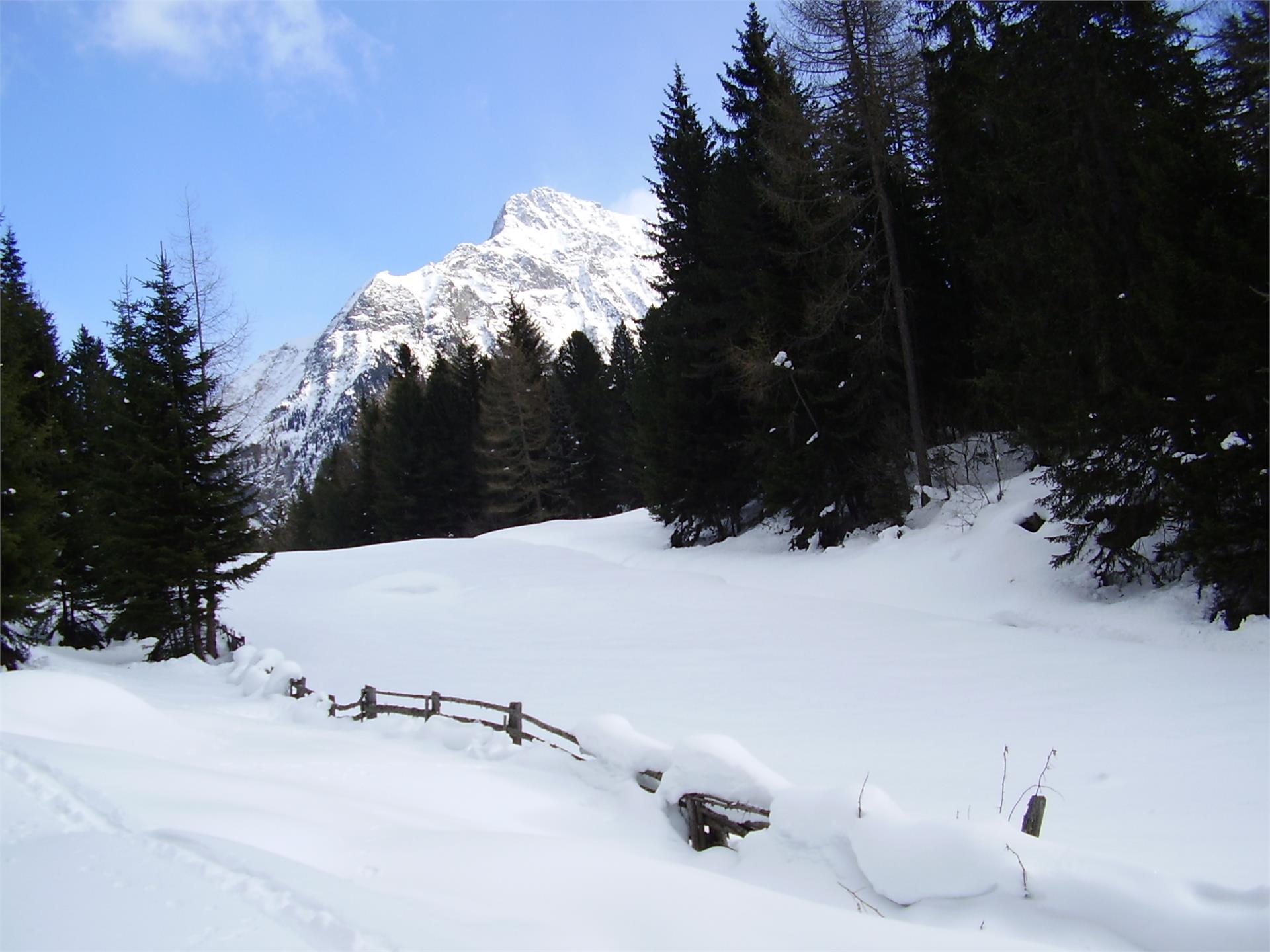 Garni Niederbrunner Sand in Taufers/Campo Tures 22 suedtirol.info