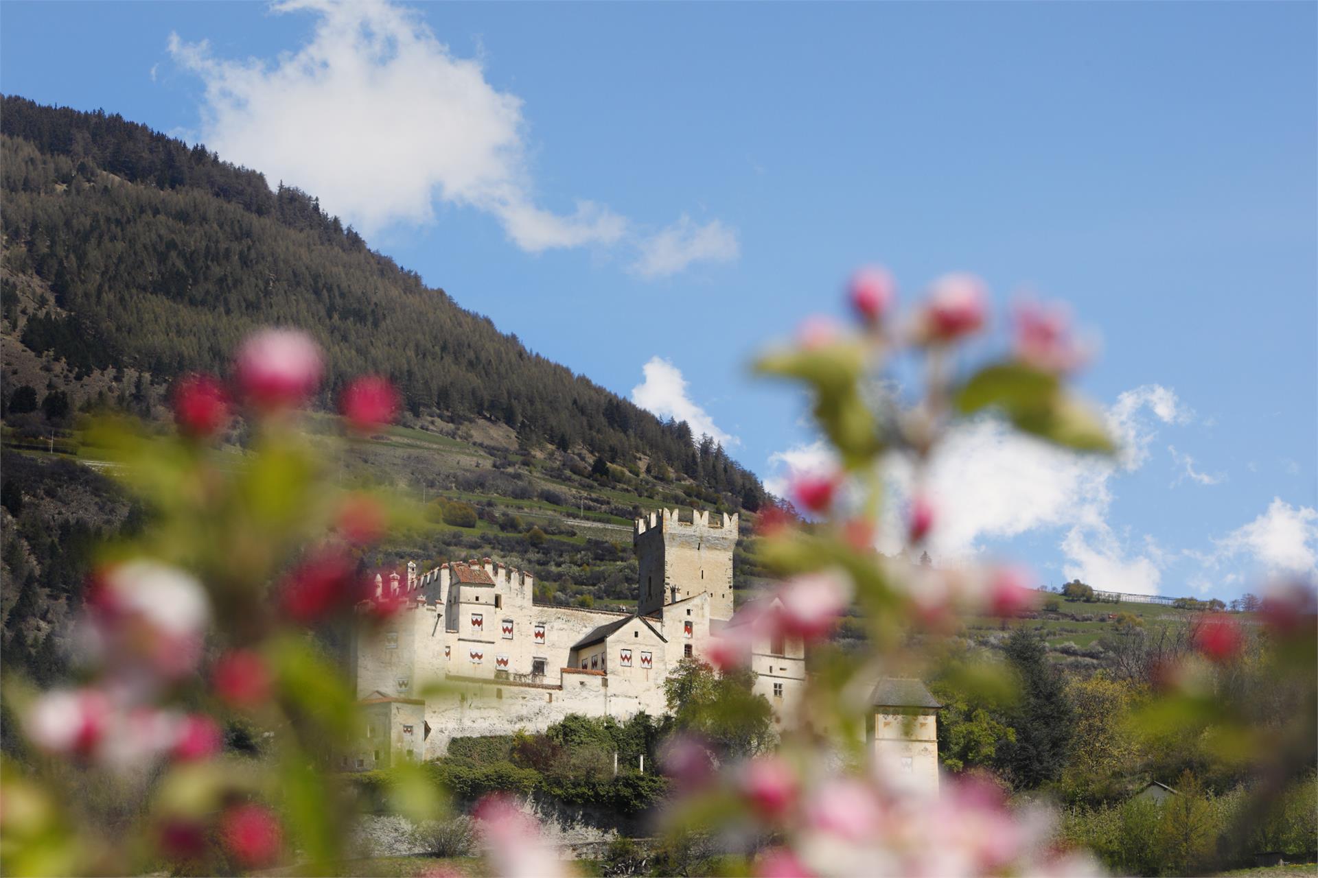 Garni Marianne Malles 11 suedtirol.info