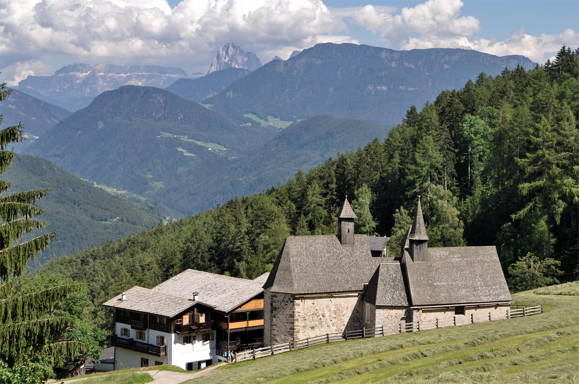 Albergo Messnerhof Barbiano 6 suedtirol.info