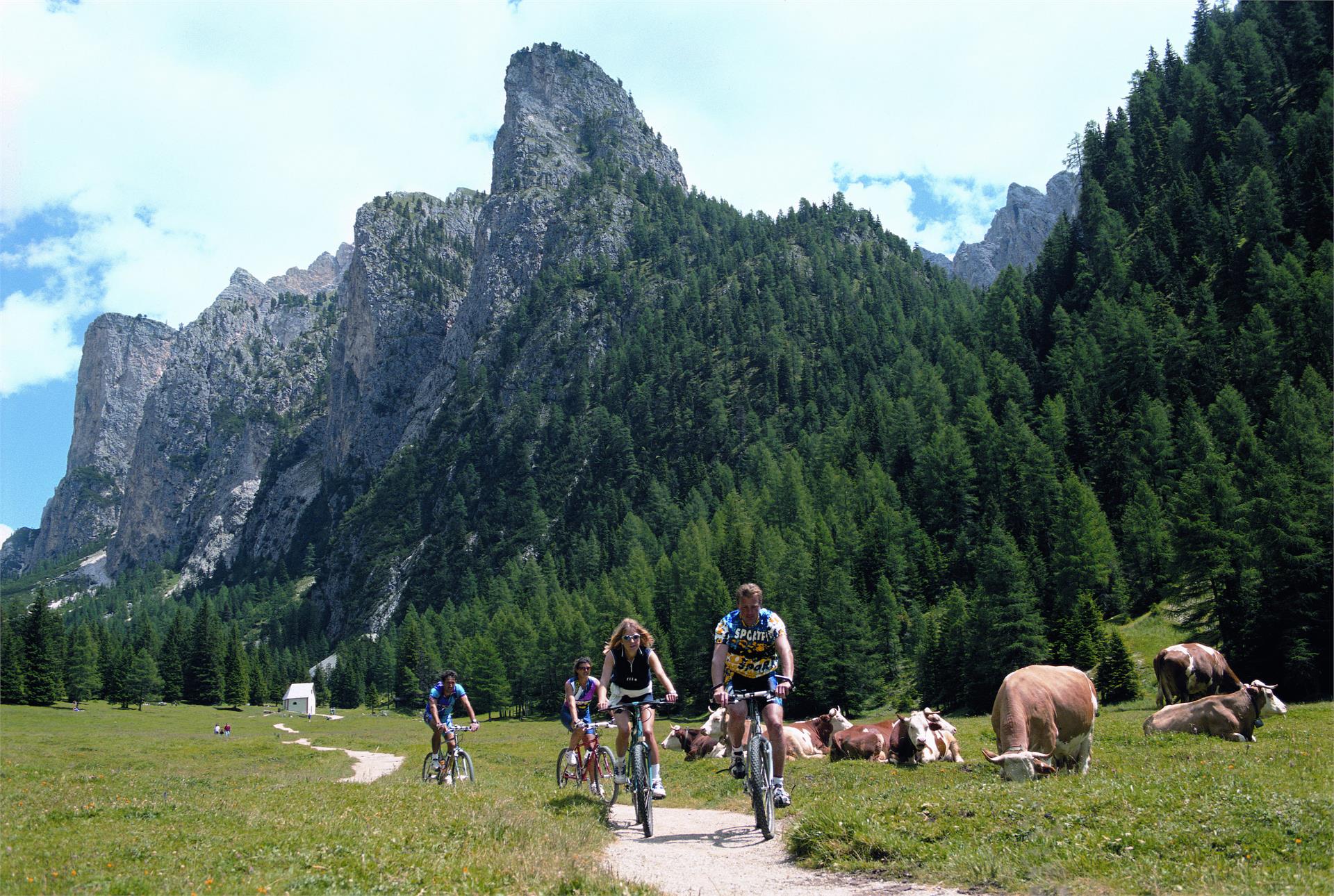 Garni-Hotel Mezdi Wellness B&B & App. Sëlva/Selva 6 suedtirol.info