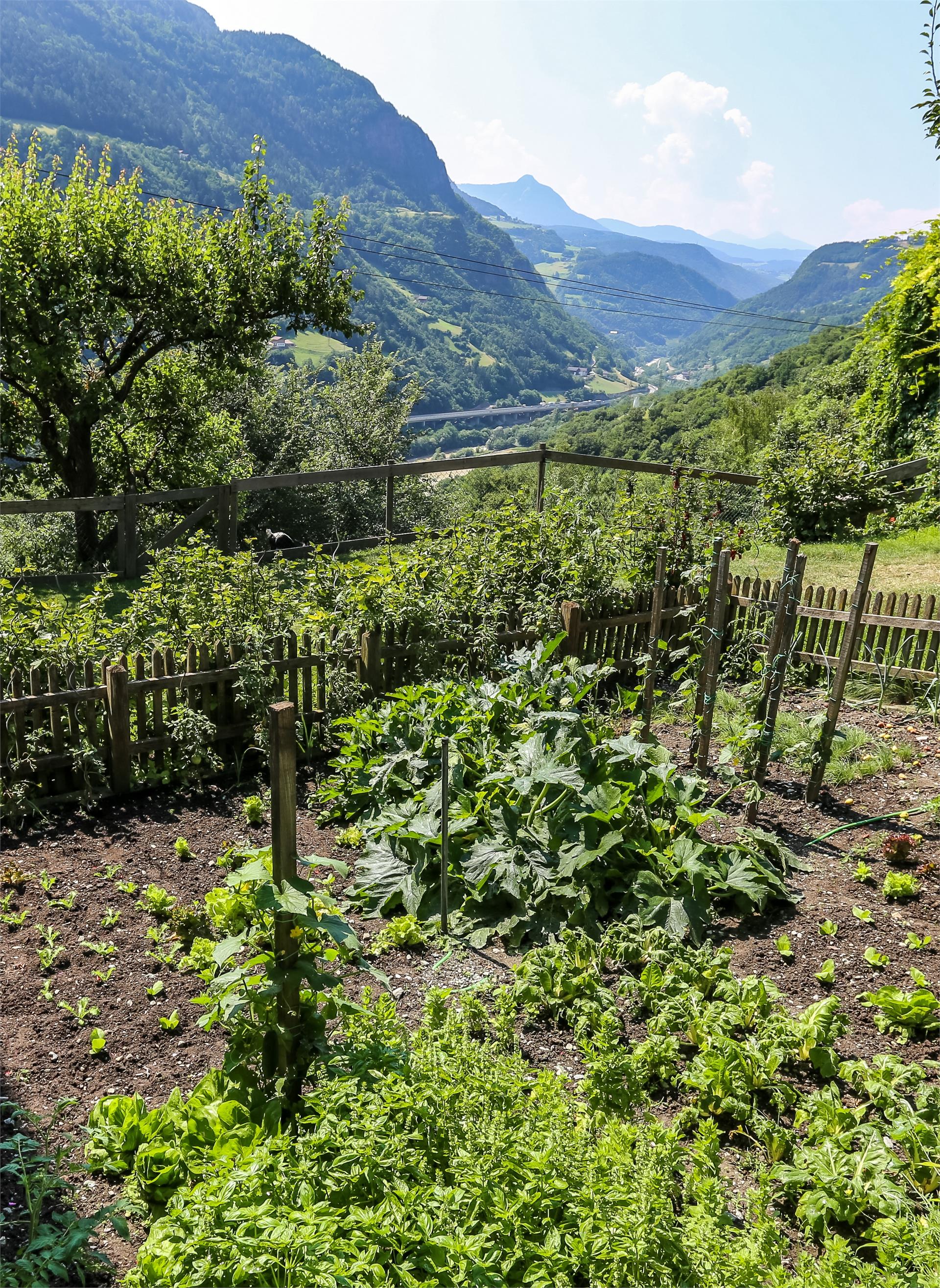 Gostnerhof Barbian/Barbiano 12 suedtirol.info