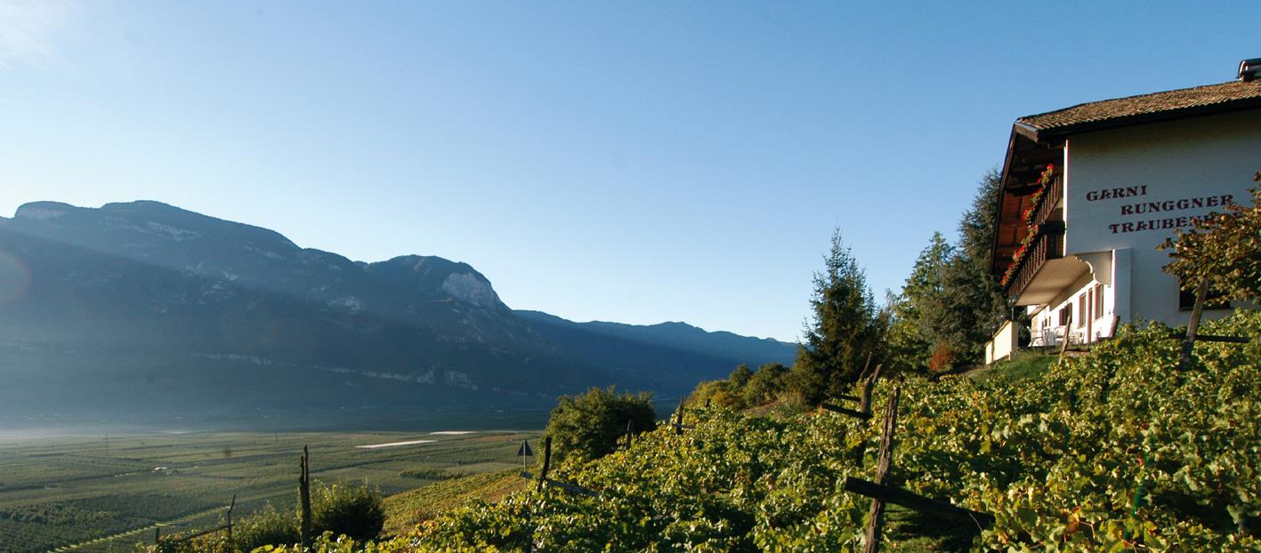 Garni Runggner Traubenhof Tramin an der Weinstraße/Termeno sulla Strada del Vino 5 suedtirol.info