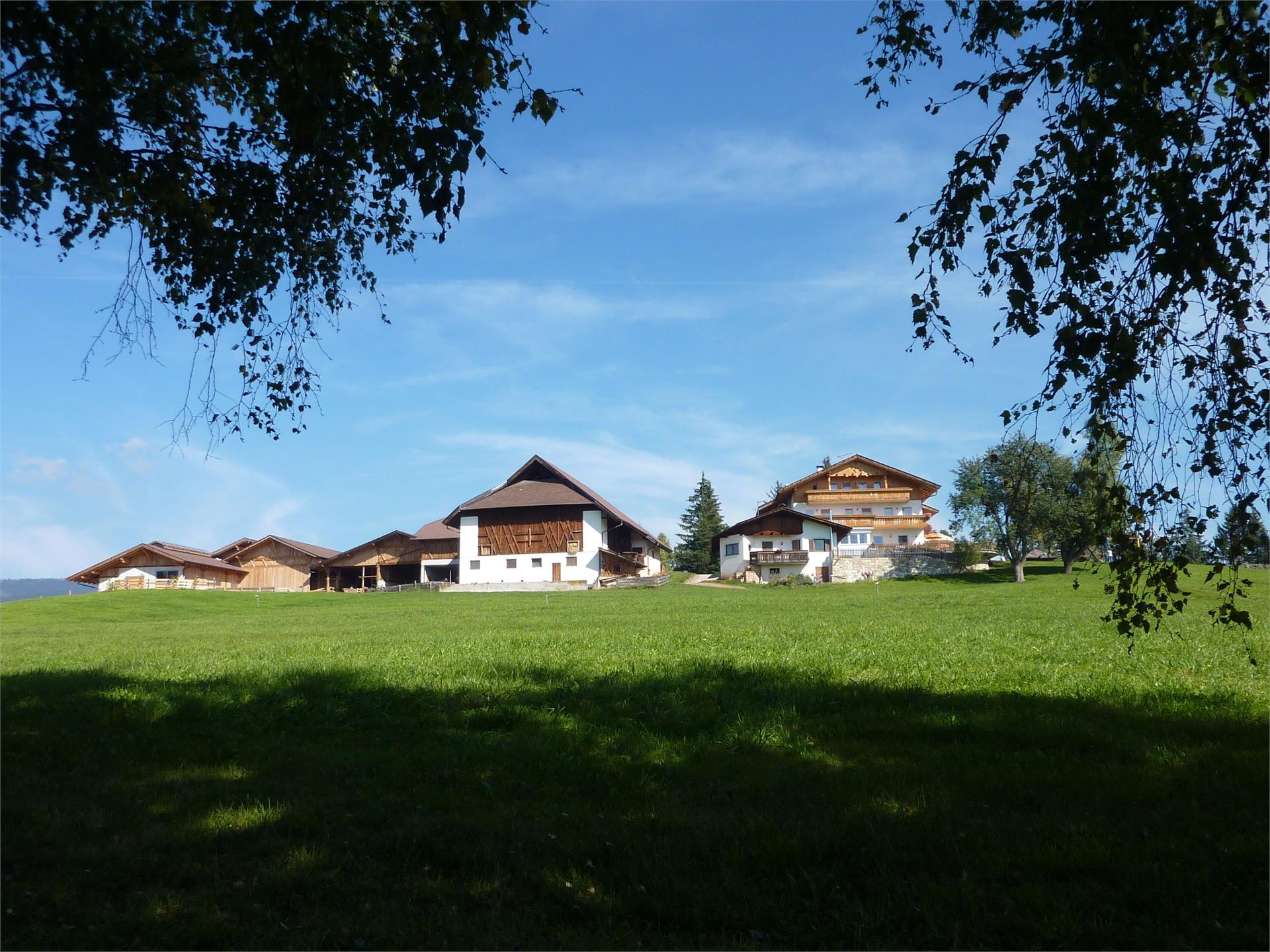 Gasthof St. Ulrich Mölten 9 suedtirol.info