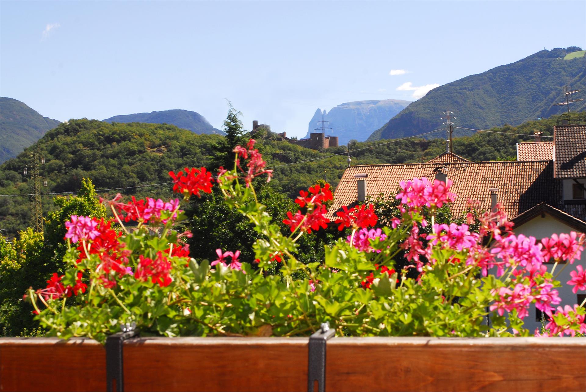 Geighof - Spitaler David Appiano sulla Strada del Vino 20 suedtirol.info