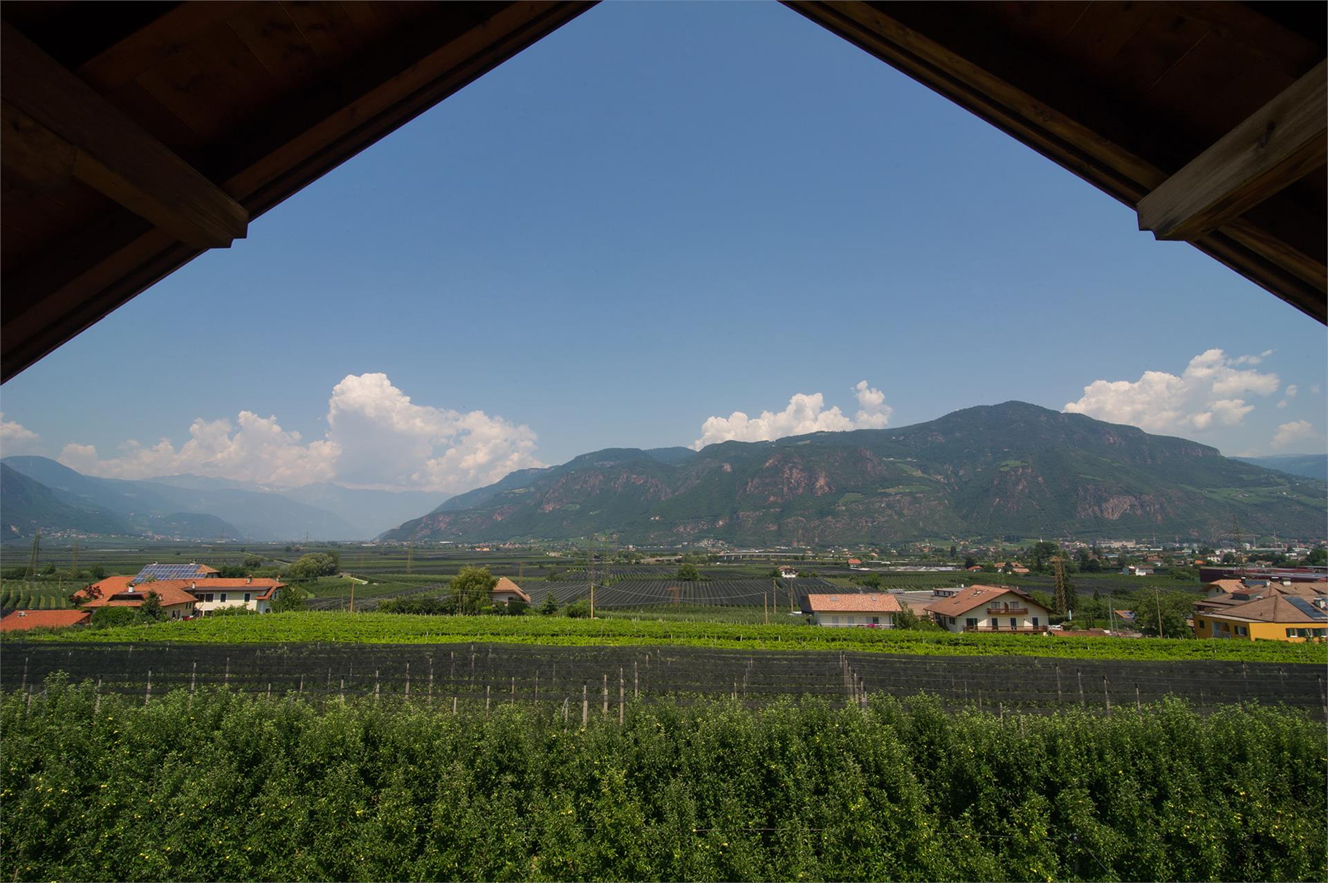 Geighof - Spitaler David Appiano sulla Strada del Vino 17 suedtirol.info