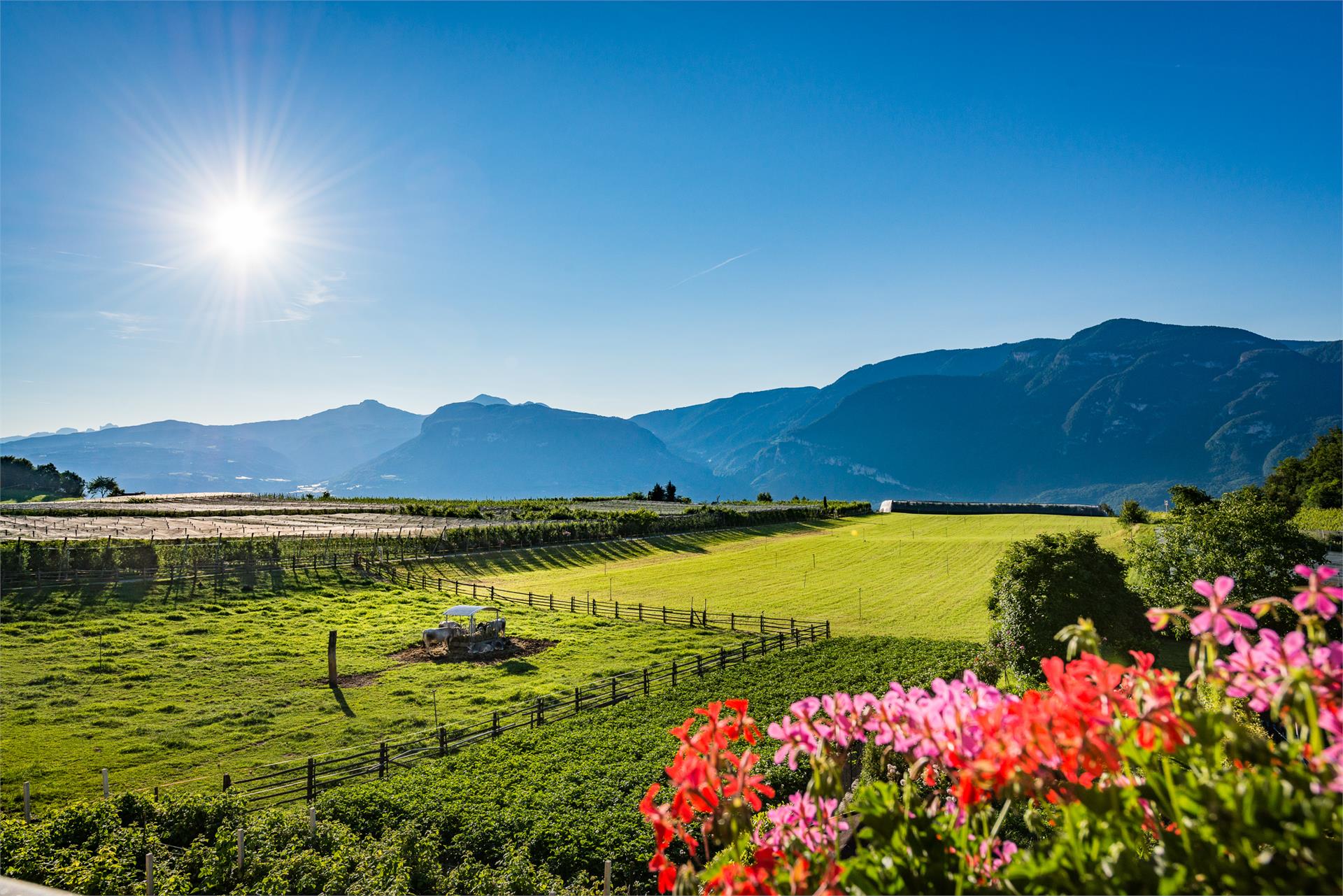 Inn/Restaurant Goldener Adler Kurtatsch an der Weinstraße/Cortaccia sulla Strada del Vino 16 suedtirol.info