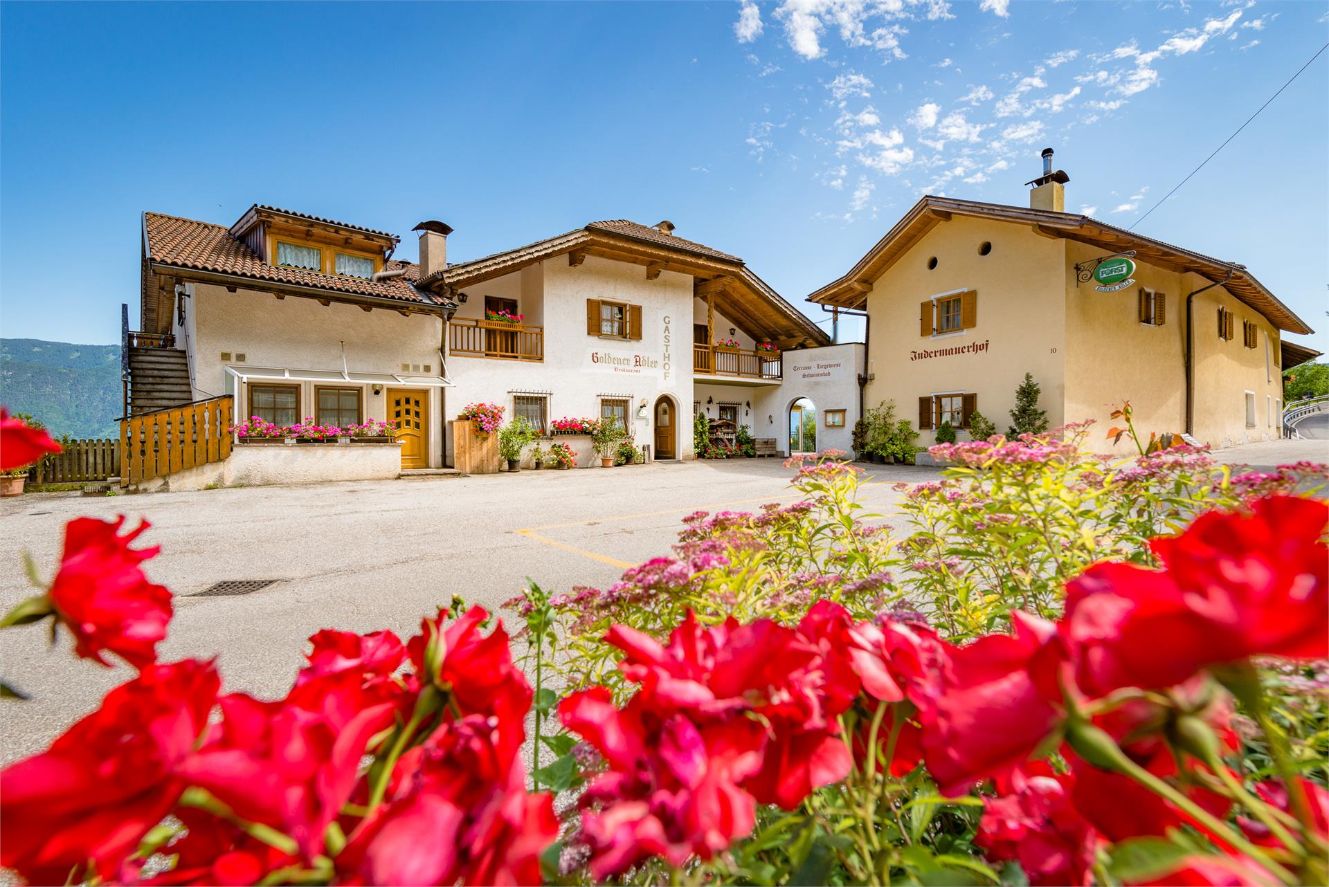 Inn/Restaurant Goldener Adler Kurtatsch an der Weinstraße/Cortaccia sulla Strada del Vino 28 suedtirol.info