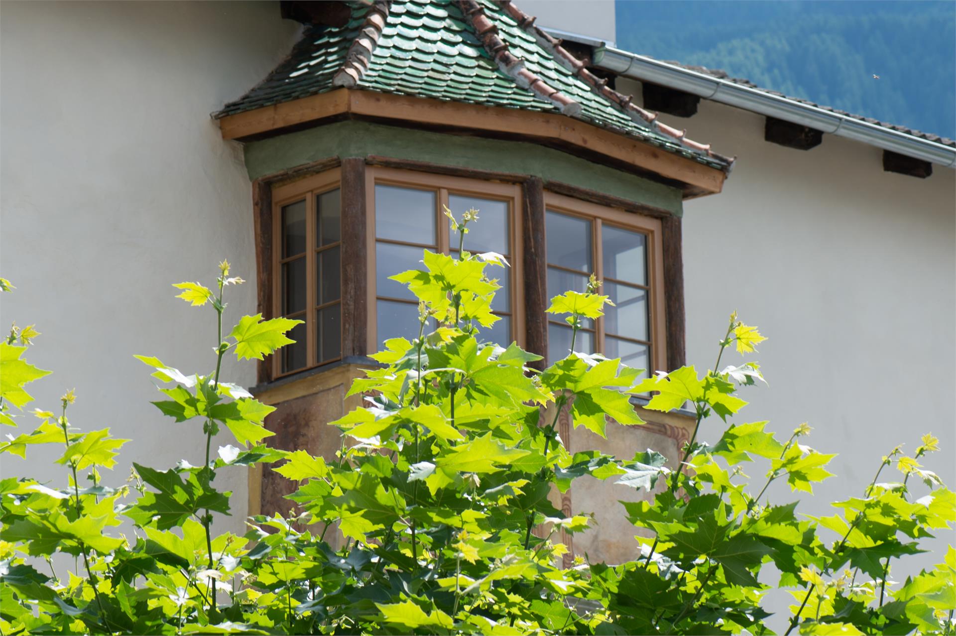 Gasthof zum Riesen Latsch 25 suedtirol.info