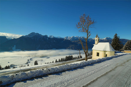 Hansenhof Dobbiaco 8 suedtirol.info