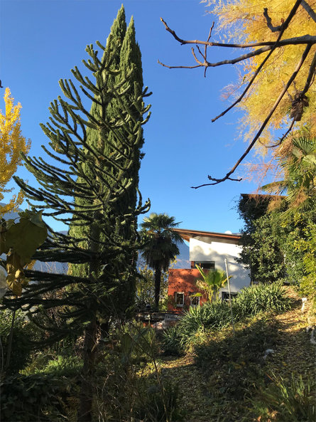 Haus Magda Kaltern an der Weinstraße/Caldaro sulla Strada del Vino 3 suedtirol.info