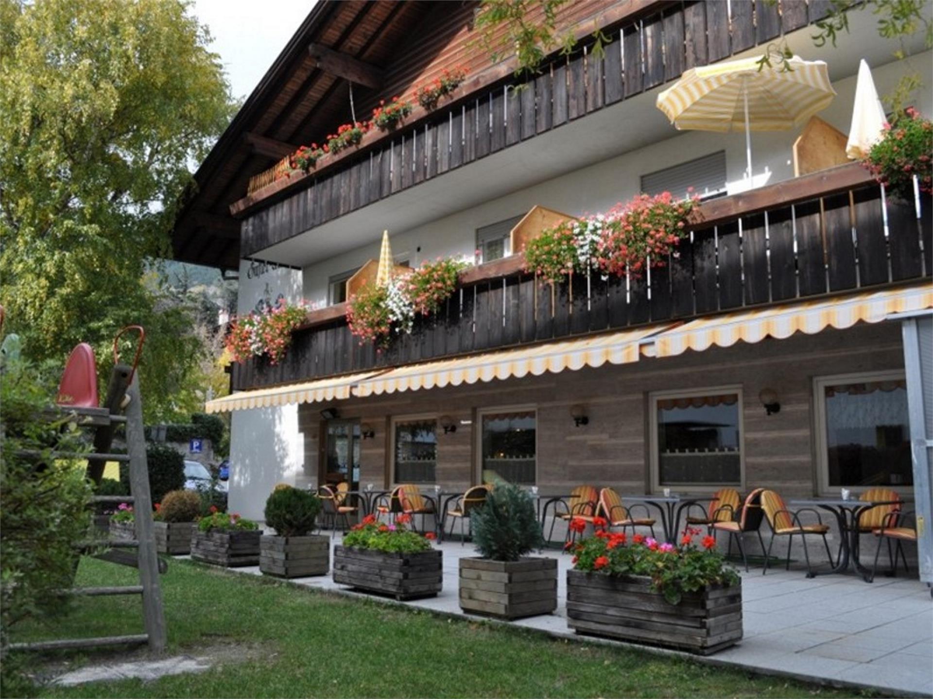 Haus Gufler Schlanders/Silandro 1 suedtirol.info