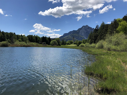 Hof Unternberg Margreid an der Weinstraße 2 suedtirol.info