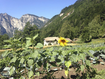 Hof Unternberg Margreid an der Weinstraße 15 suedtirol.info