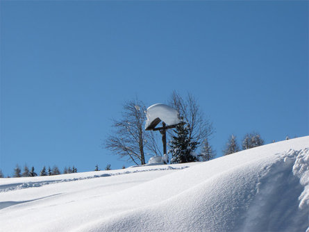 Maso Hieblerhof Völs am Schlern/Fiè allo Sciliar 17 suedtirol.info