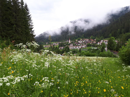 Haus Kranebitt Deutschnofen/Nova Ponente 12 suedtirol.info