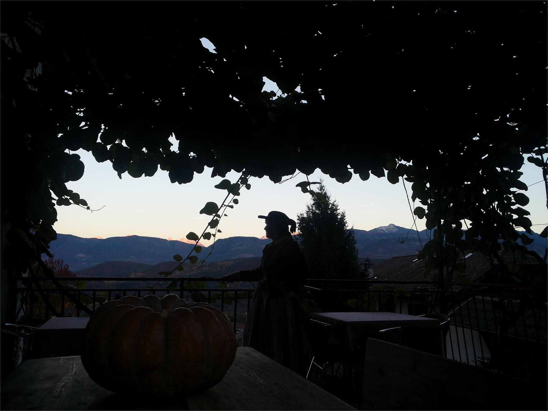 Haus zur Traube Caldaro sulla Strada del Vino 9 suedtirol.info