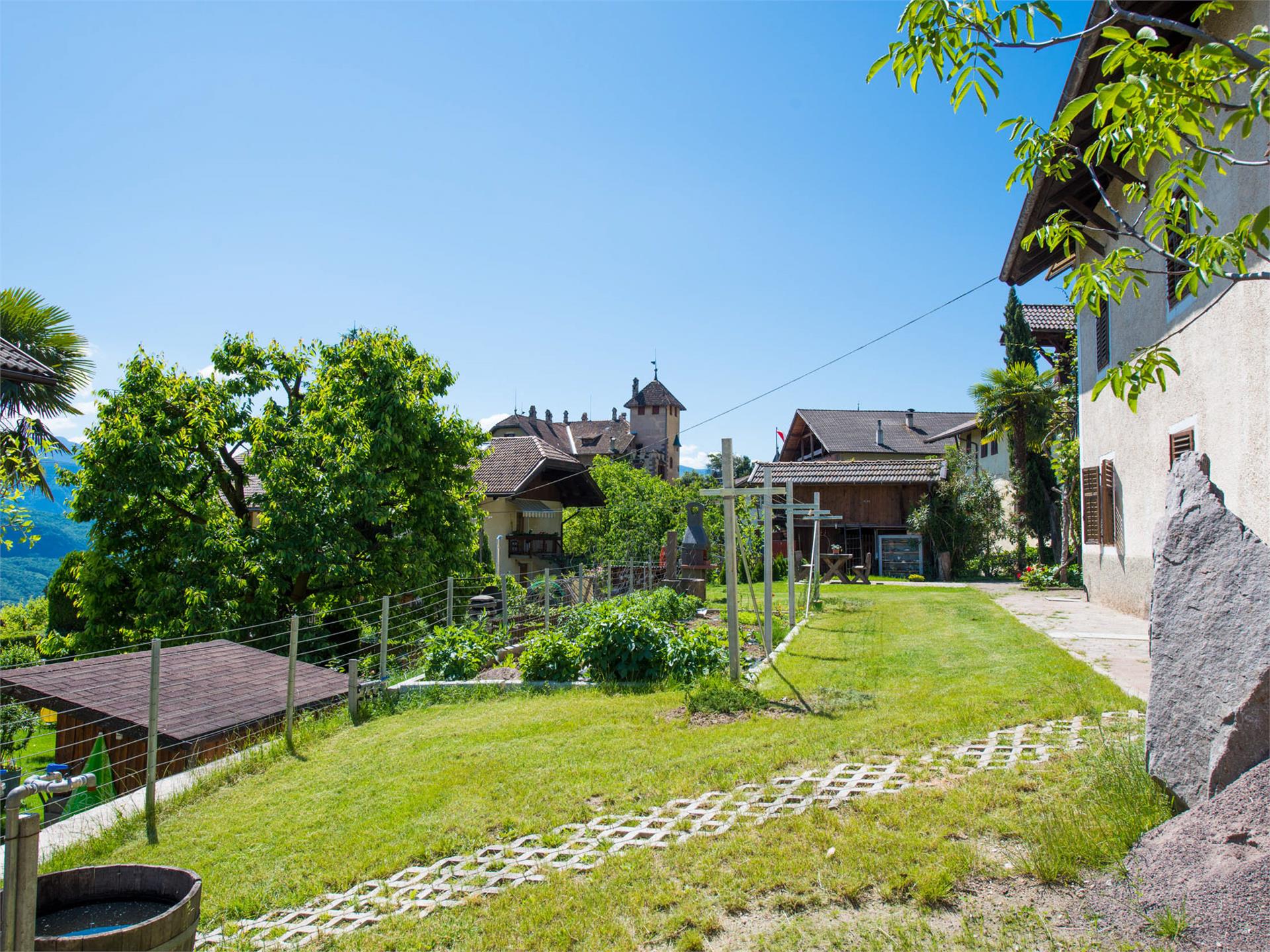 Haus zur Traube Caldaro sulla Strada del Vino 5 suedtirol.info