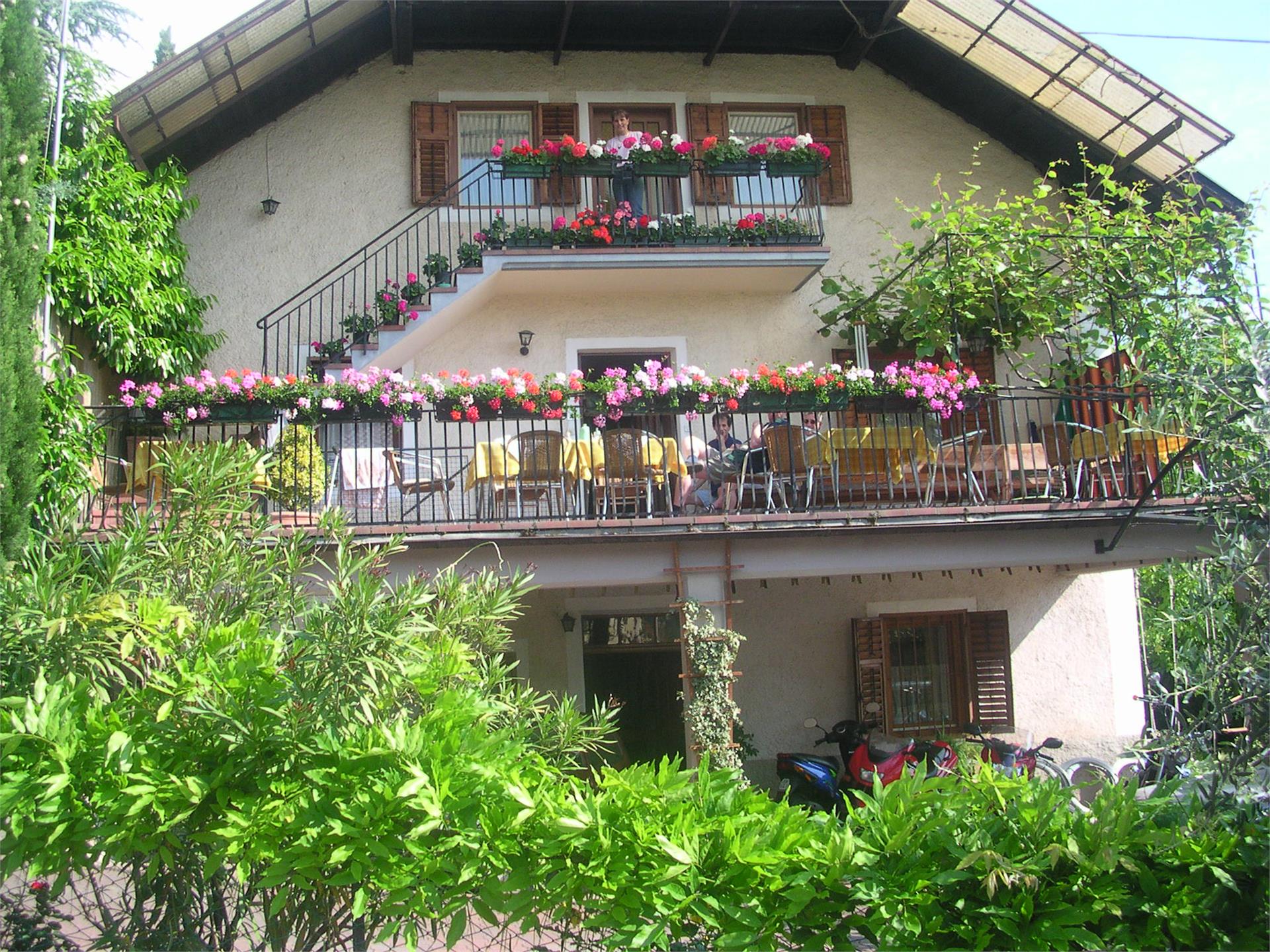 Haus zur Traube Caldaro sulla Strada del Vino 1 suedtirol.info