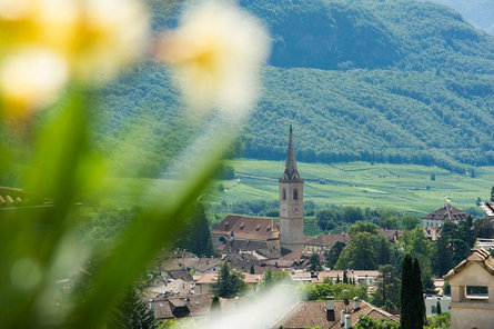 Haus Vial Caldaro sulla Strada del Vino 23 suedtirol.info