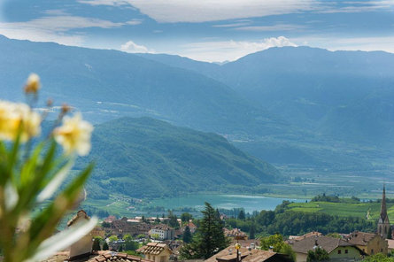 Haus Vial Caldaro sulla Strada del Vino 24 suedtirol.info