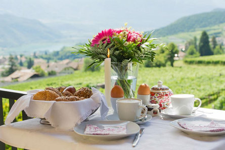 Haus Vial Caldaro sulla Strada del Vino 12 suedtirol.info