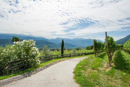 Haus Vial Caldaro sulla Strada del Vino 25 suedtirol.info