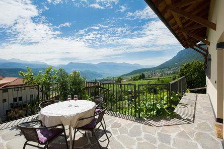 Haus Vial Caldaro sulla Strada del Vino 21 suedtirol.info