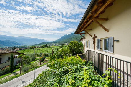 Haus Vial Caldaro sulla Strada del Vino 19 suedtirol.info