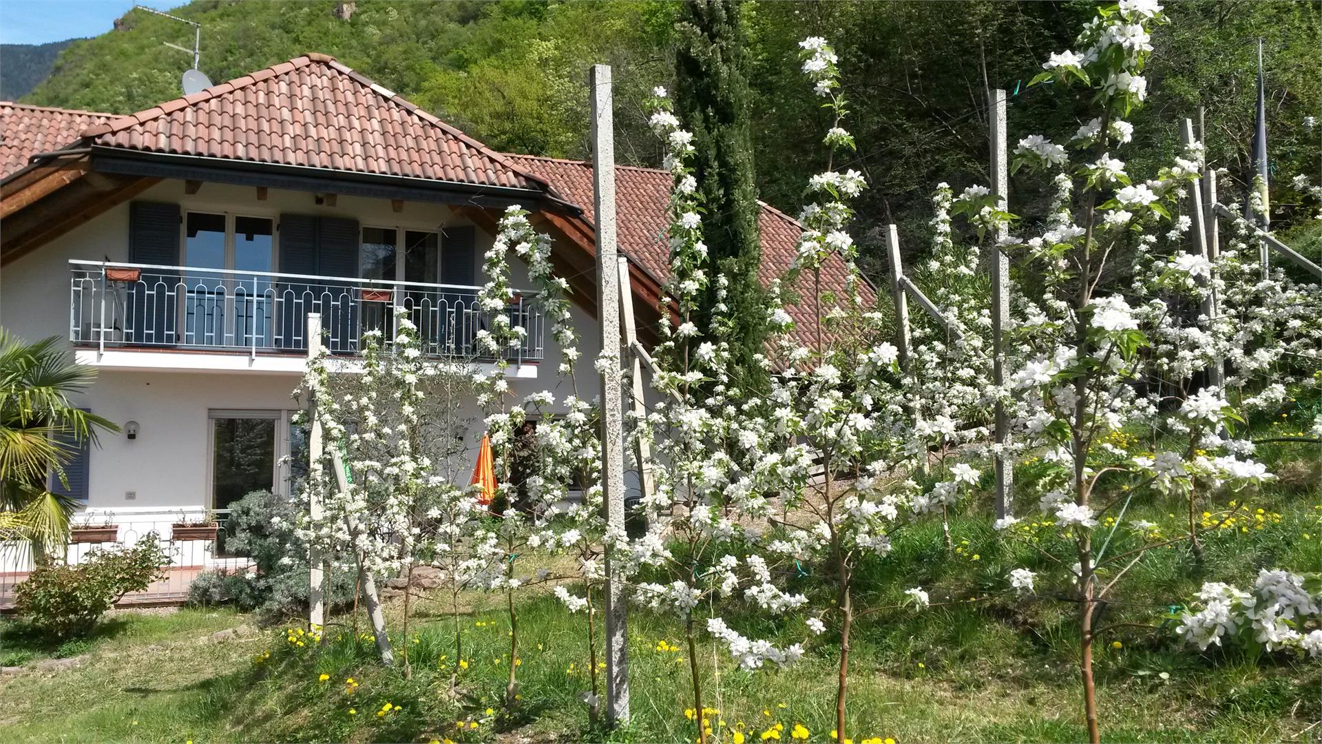 Haus am Hang Leifers 4 suedtirol.info