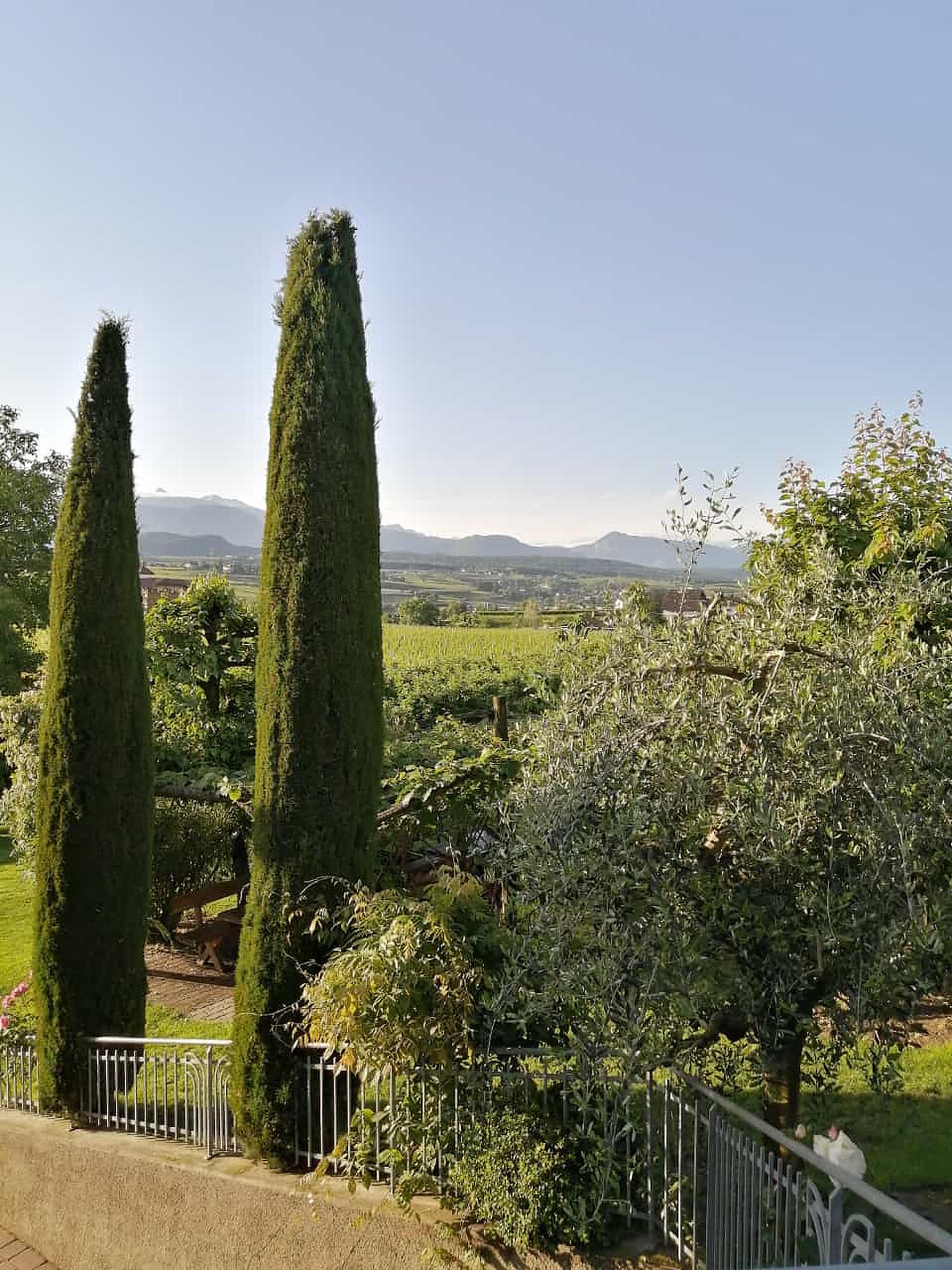 Haus Ebner Appiano sulla Strada del Vino 5 suedtirol.info