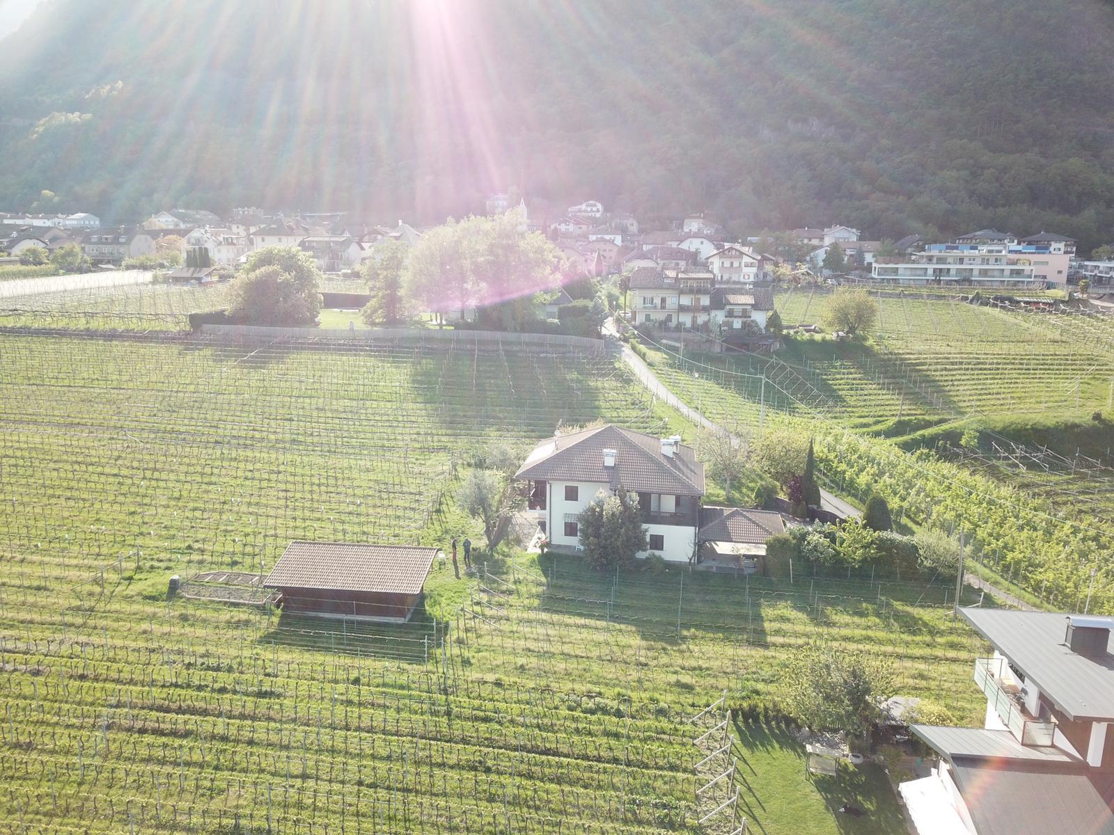 Hochleiten Hof Caldaro sulla Strada del Vino 16 suedtirol.info