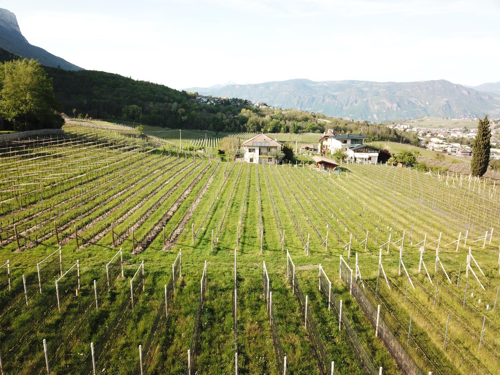 Hochleiten Hof Caldaro sulla Strada del Vino 3 suedtirol.info