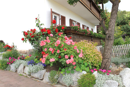 Casa Zorzi Avelengo 4 suedtirol.info