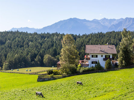 Haus Hafner Hafling/Avelengo 1 suedtirol.info