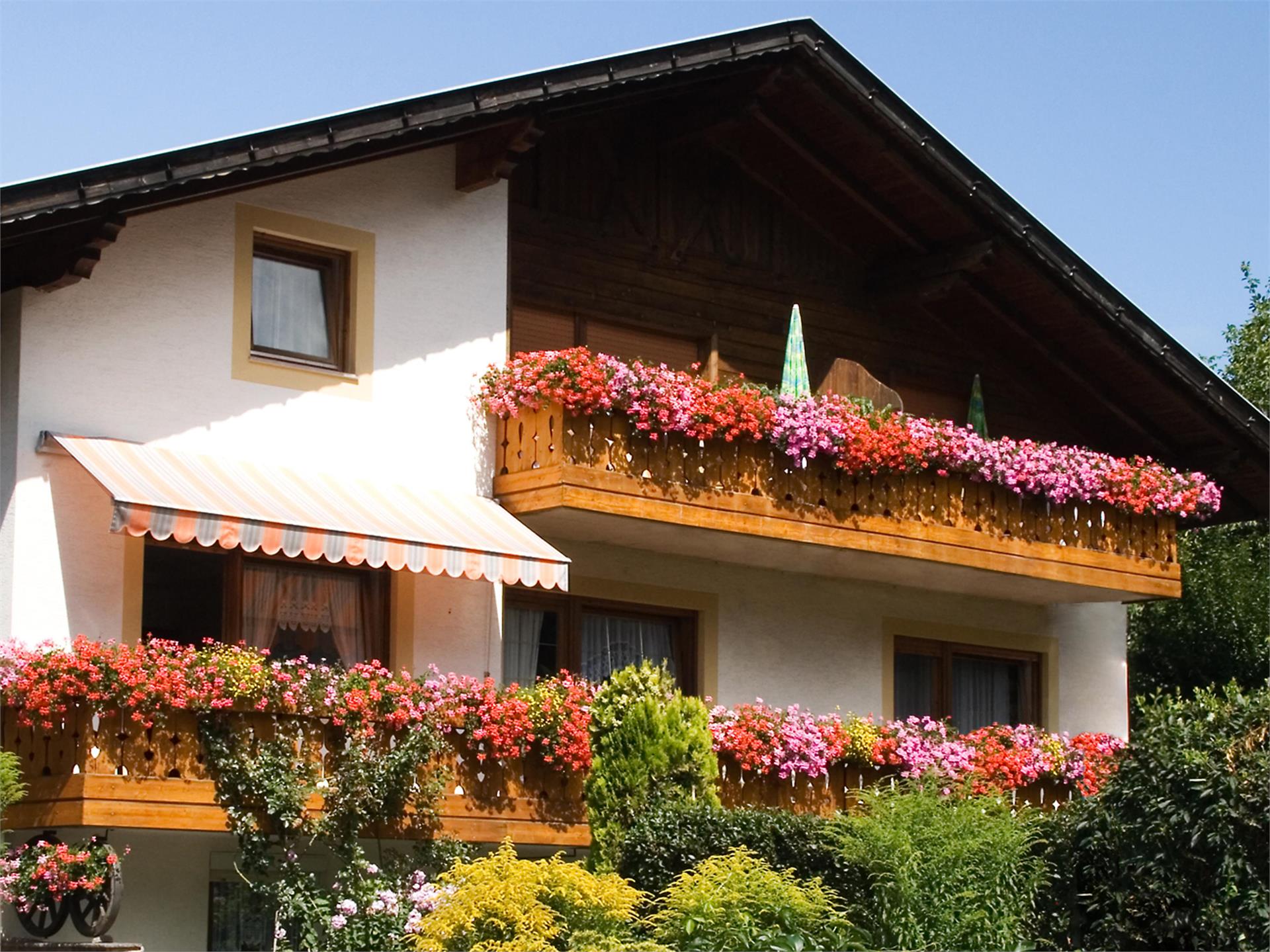 Haus Parth Laas 1 suedtirol.info