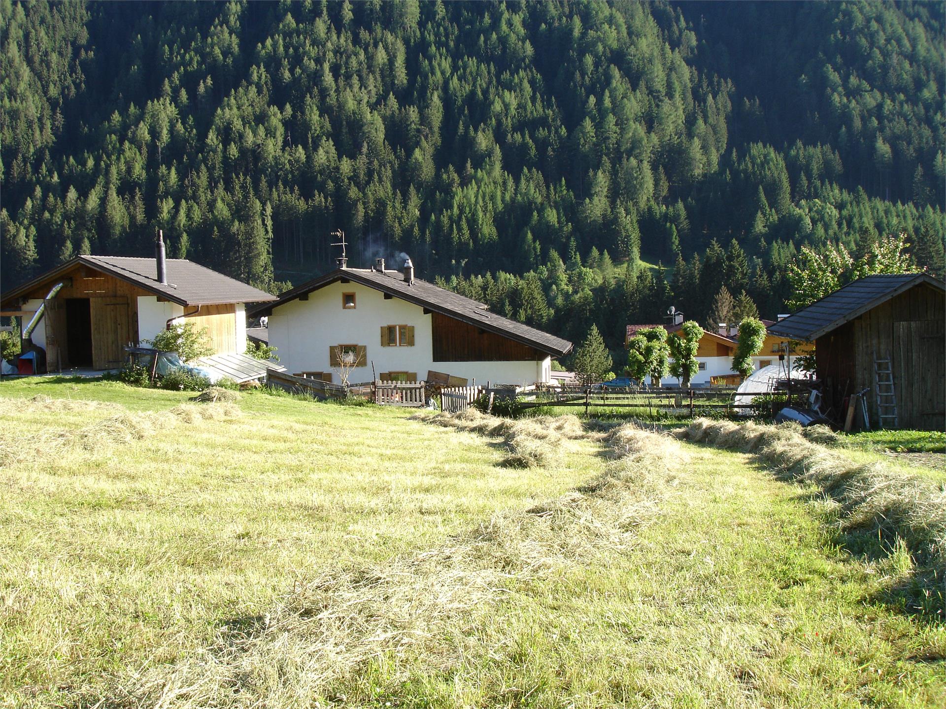 Haus Pessler Ratschings/Racines 5 suedtirol.info