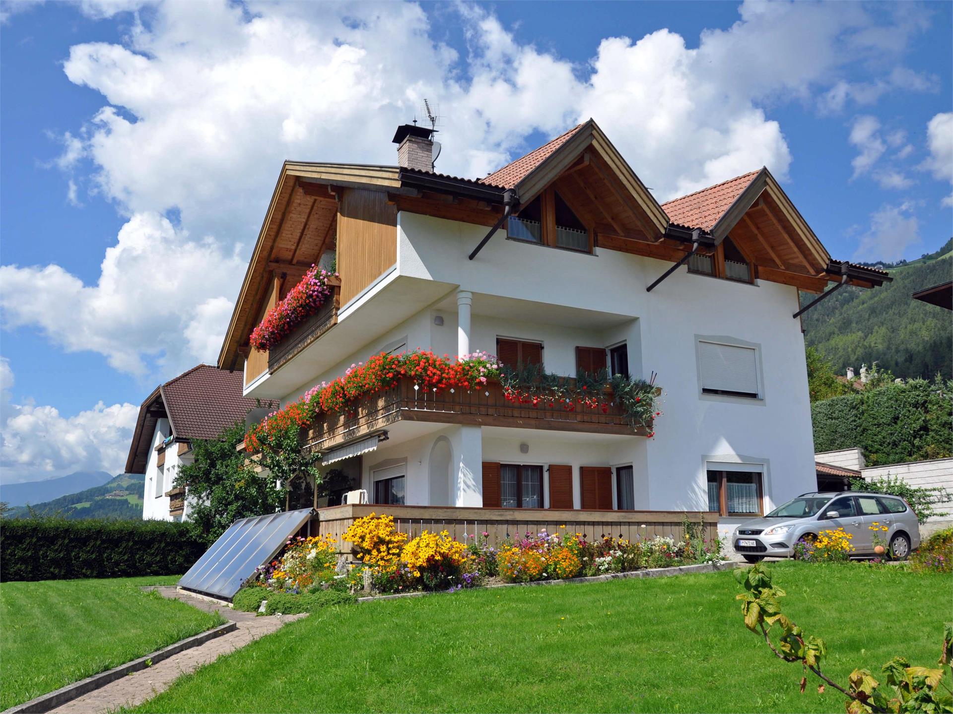 Haus Zassler Pfalzen/Falzes 1 suedtirol.info