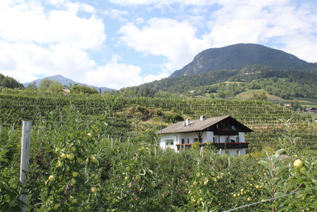 Haus Geiser Tisens 4 suedtirol.info