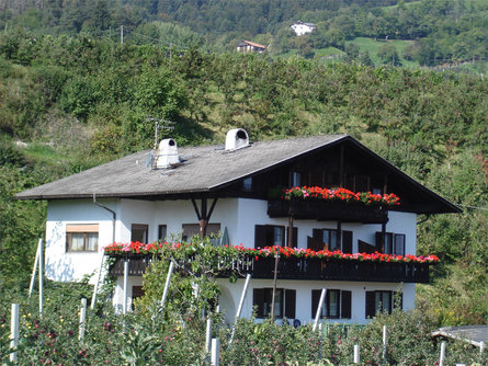 Haus Geiser Tisens/Tesimo 1 suedtirol.info