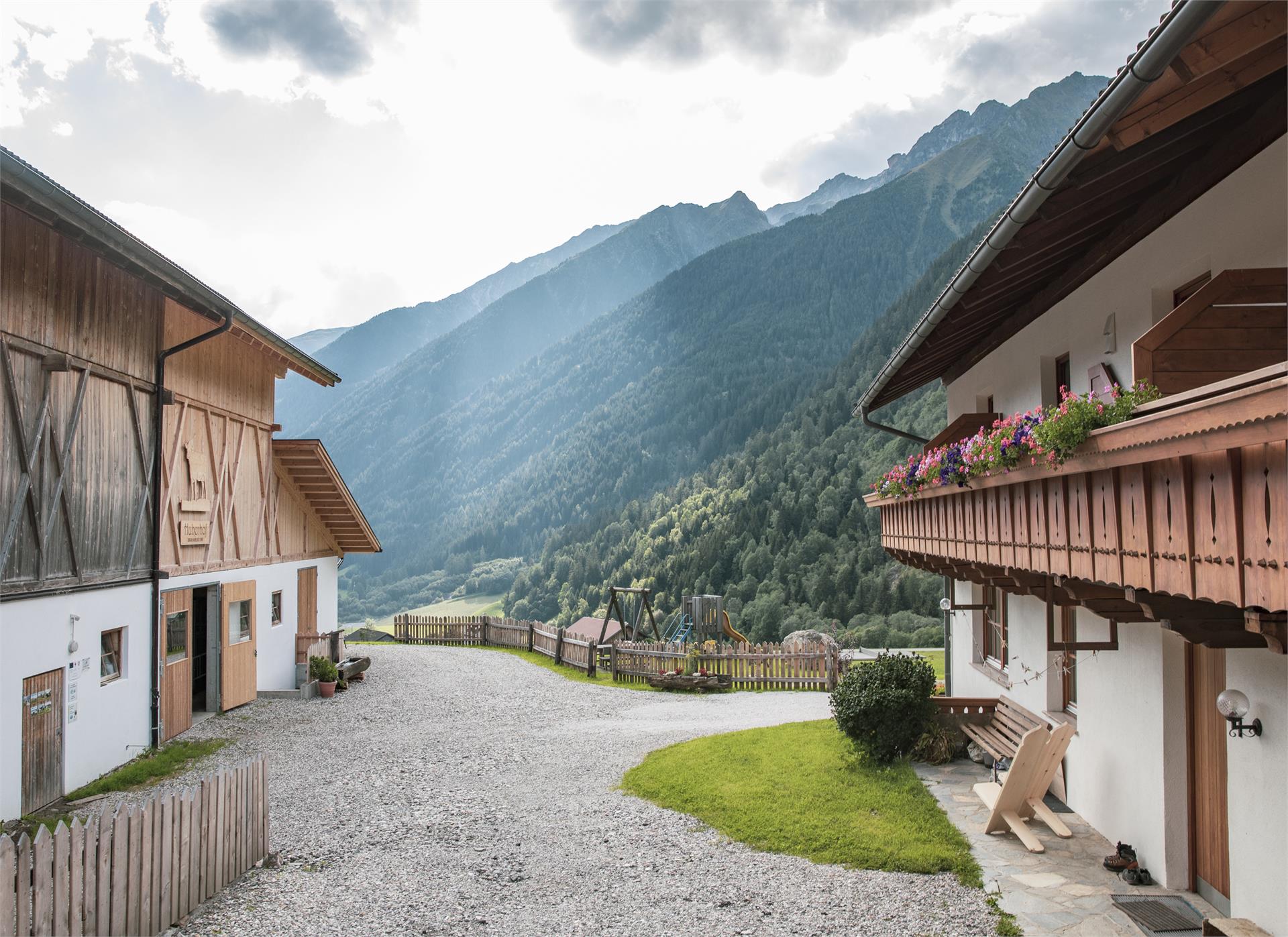 Huberhof Rasun Anterselva 24 suedtirol.info