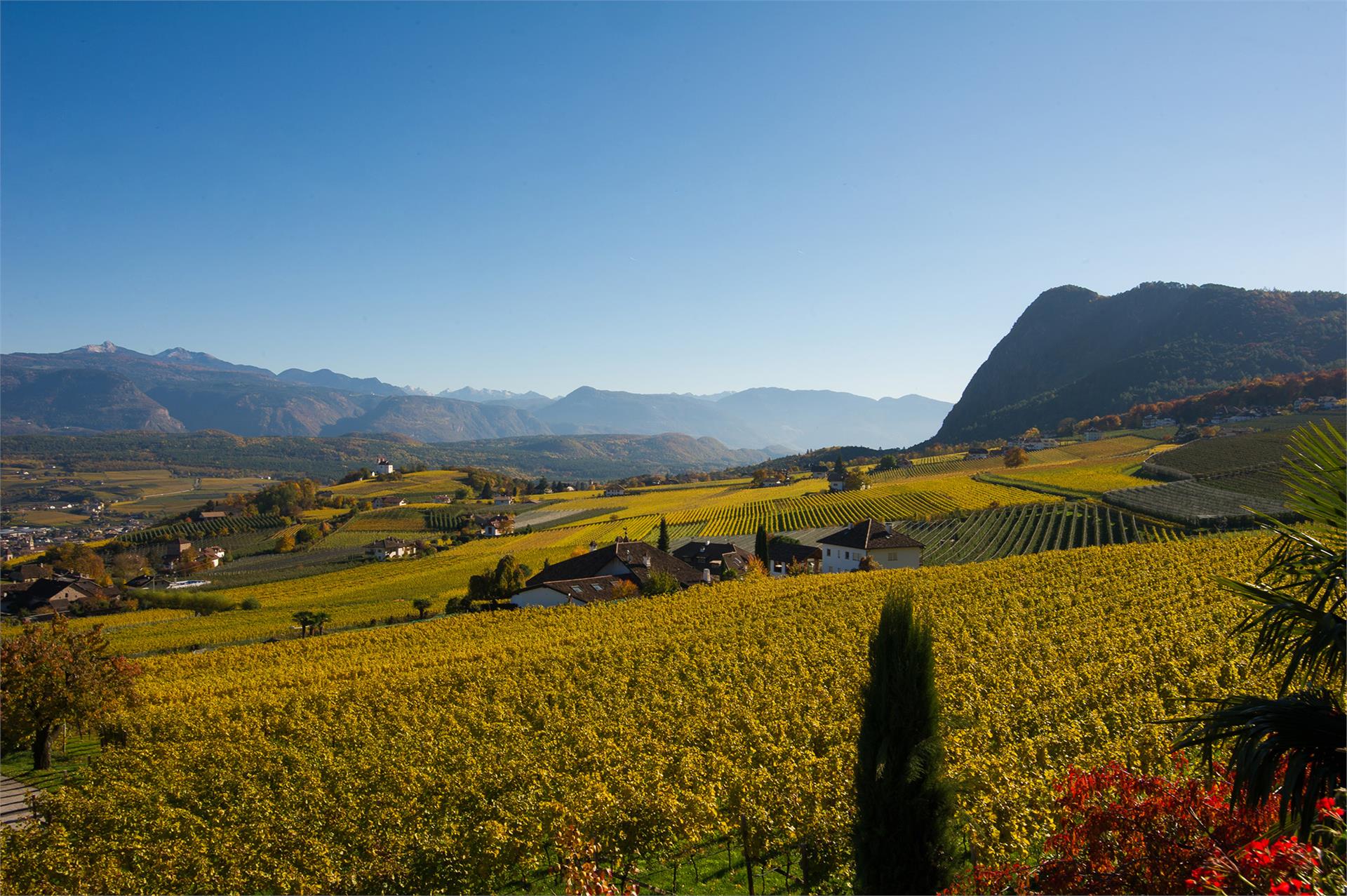 Haus Wolkan Eppan an der Weinstraße 18 suedtirol.info