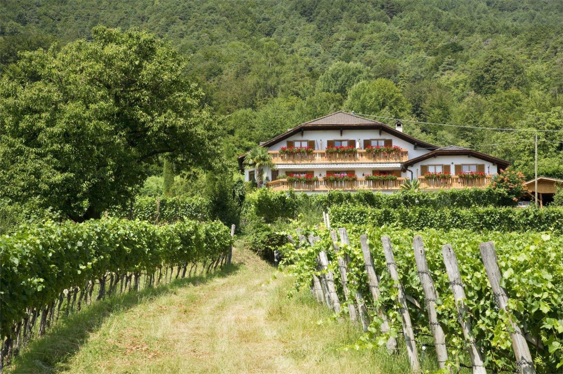 Haus Wolkan Eppan an der Weinstraße 6 suedtirol.info